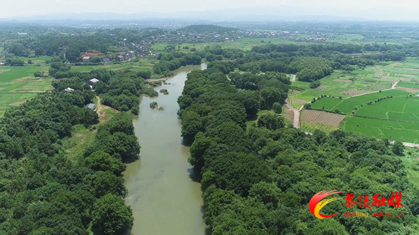 1671765333362-pdmyq33s6qe