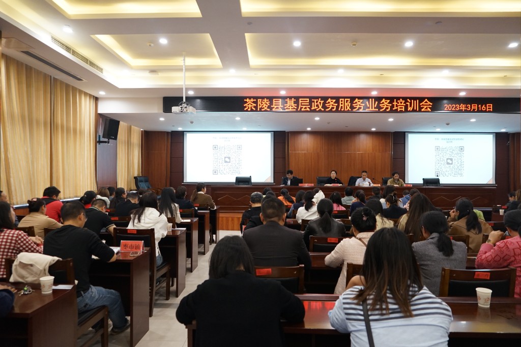 茶陵县基层政务服务业务培训会召开