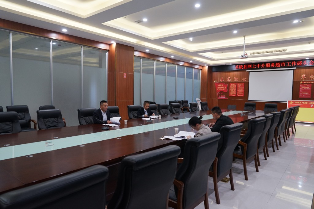 茶陵县召开网上中介服务超市工作碰头会