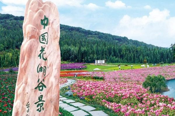 1676432041338973_836_10000