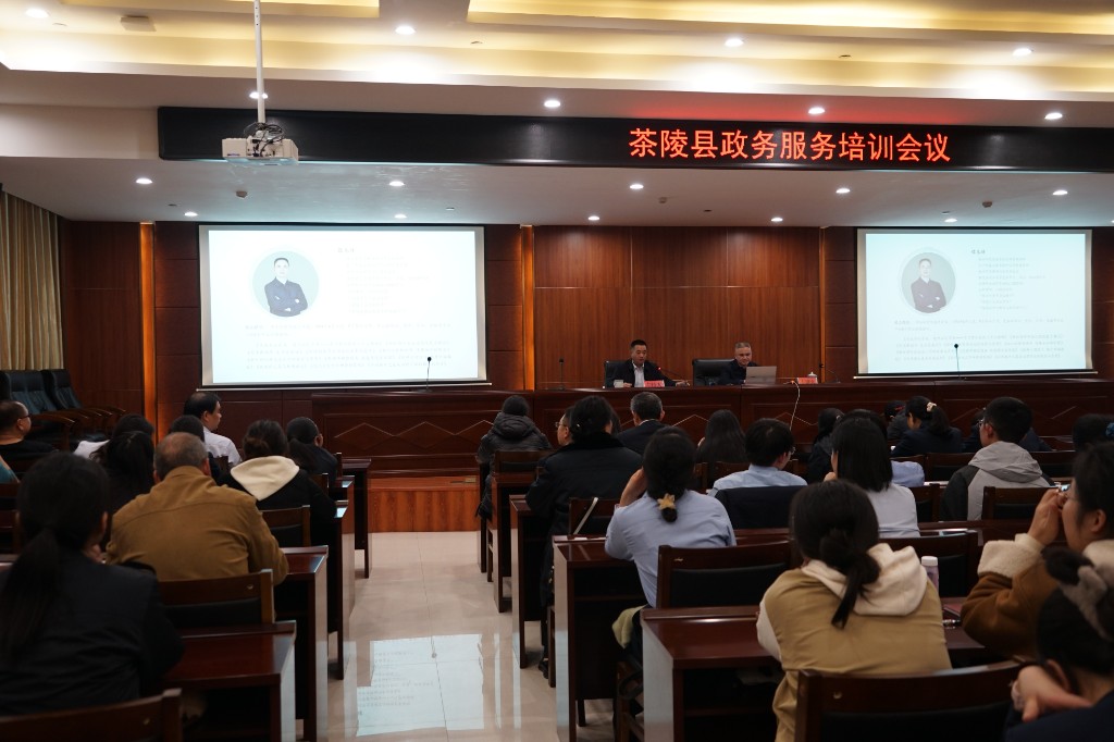 茶陵县召开政务服务培训会