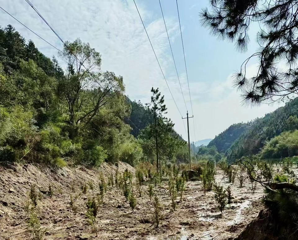 微信图片_20240325155243