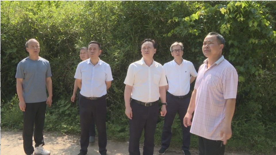 微信截图_20240527151551