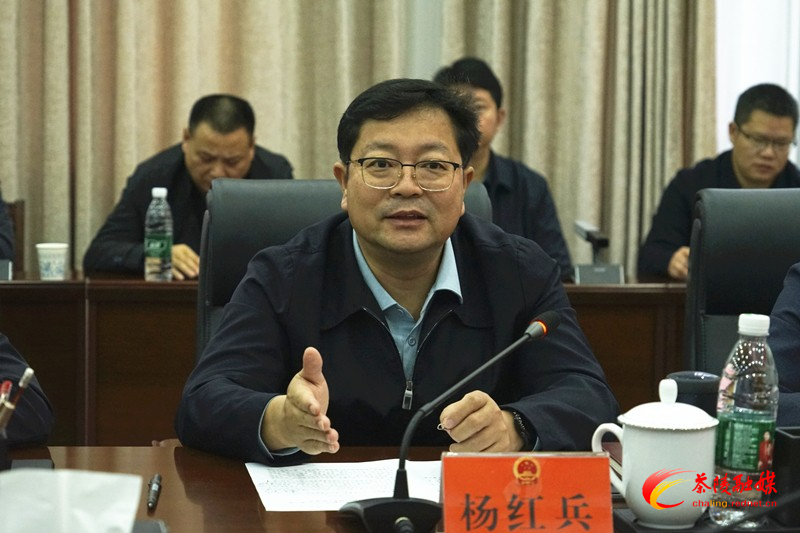 县委副书记、县长杨红兵