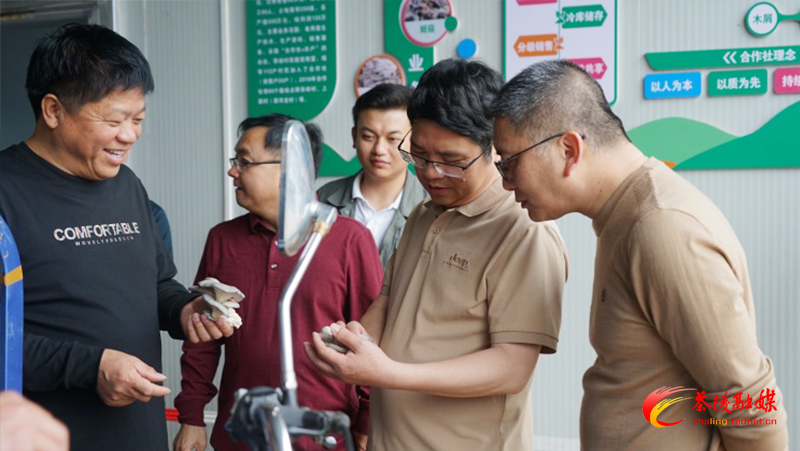 d095a8d454b94143b3995dc0ab813b04.jpg d095a8d454b94143b3995dc0ab813b04.jpg