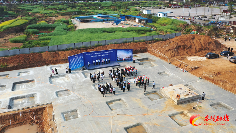 已审3.png 已审3.png