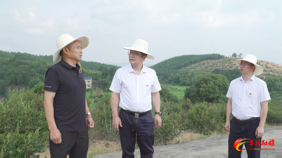 0beebf6f35a24e019e8c00df9cb3dfe9.jpg 0beebf6f35a24e019e8c00df9cb3dfe9.jpg