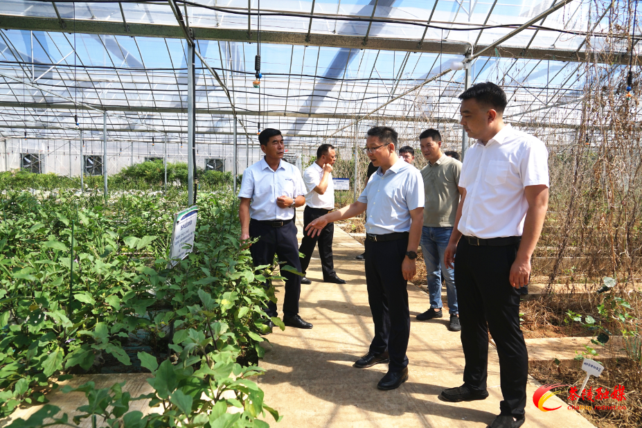 DSC01484_副本.jpg DSC01484_副本.jpg