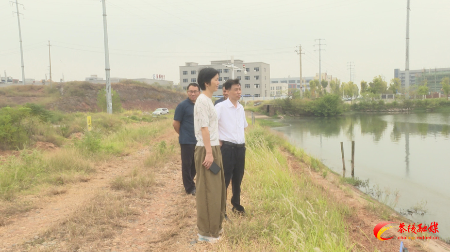 6rFQCq8VX6kA.jpg 6rFQCq8VX6kA.jpg