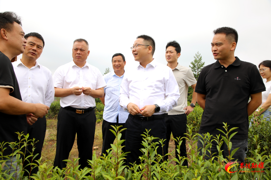 微信图片_20250923165722_22_197.jpg 微信图片_20250923165722_22_197.jpg