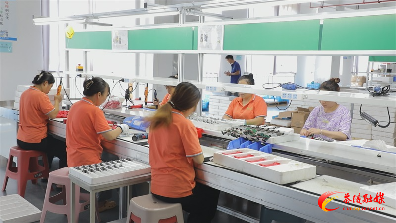 Still0801_00001.jpg Still0801_00001.jpg