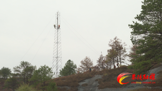 调整大小 Still1201_00001.bmp 调整大小 Still1201_00001.bmp