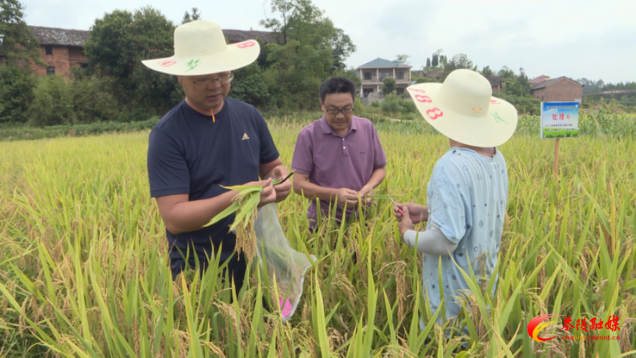 Still0914_00001.bmp Still0914_00001.bmp