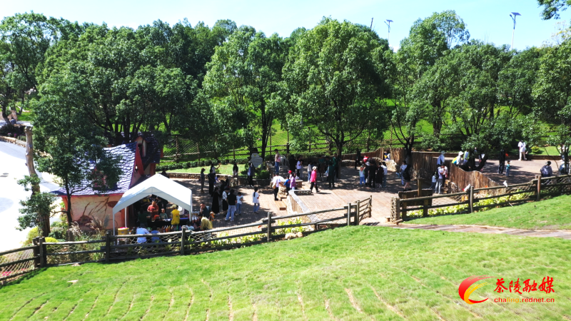 Still1201_00001.bmp Still1201_00001.bmp