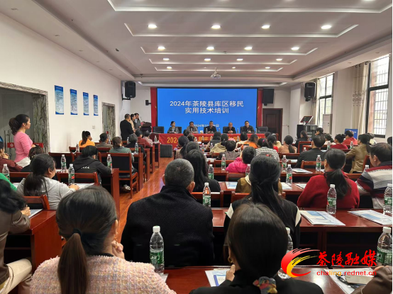 图片9.png 图片9.png