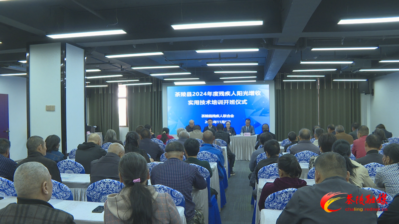 Still1105_00001_副本.bmp Still1105_00001_副本.bmp