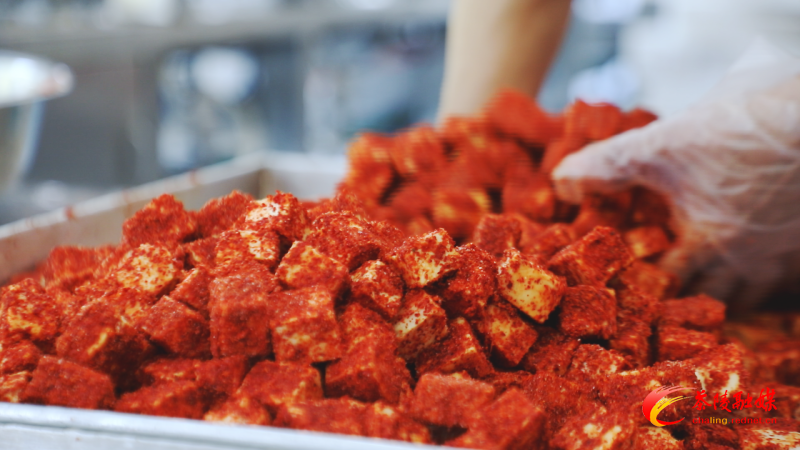 Still1201_00000.bmp Still1201_00000.bmp