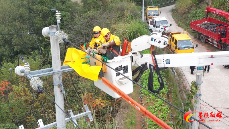 静帧 2024-12-10 171914_1.5.1_副本.jpg 静帧 2024-12-10 171914_1.5.1_副本.jpg