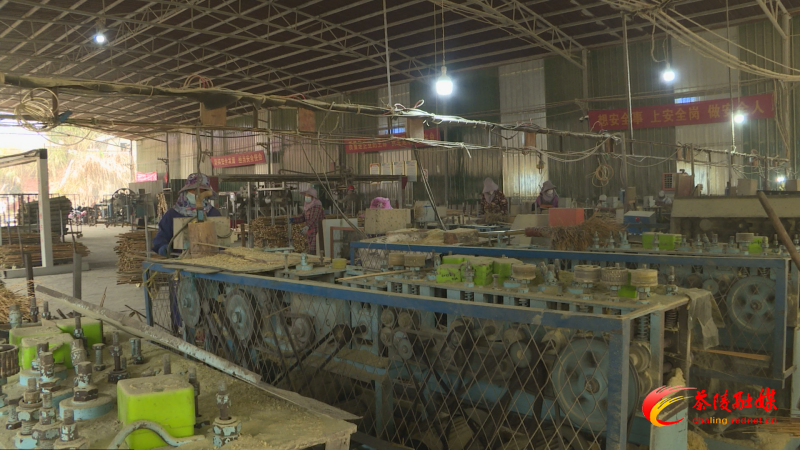 竹子_副本.bmp 竹子_副本.bmp