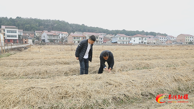 Still0208_00001_副本.bmp Still0208_00001_副本.bmp