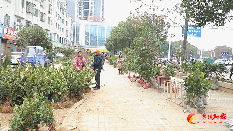 Still0212_00000_副本.png Still0212_00000_副本.png