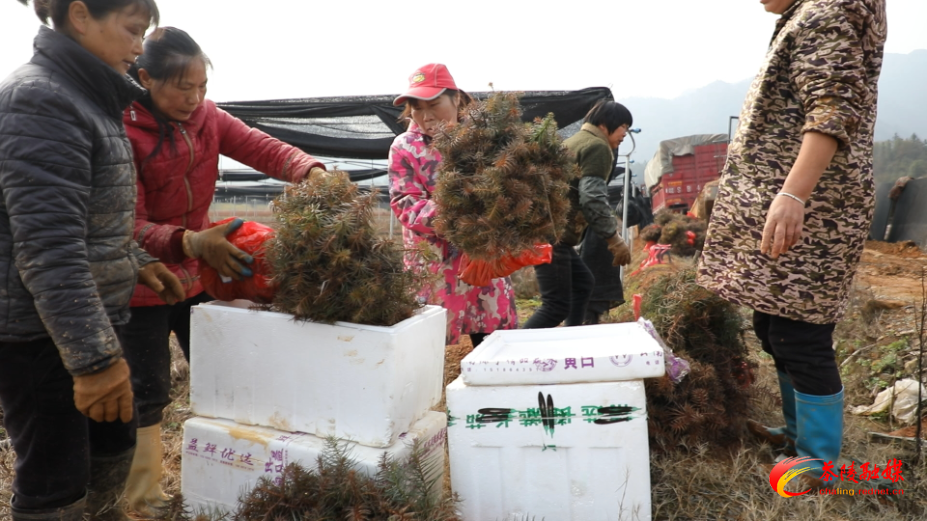 微信图片_20250224164016.jpg 微信图片_20250224164016.jpg