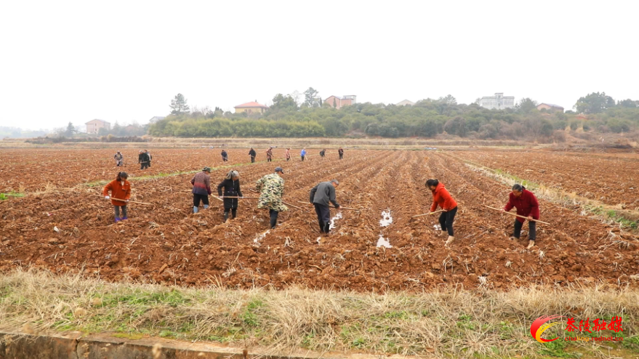 微信图片_20250225175421.jpg 微信图片_20250225175421.jpg