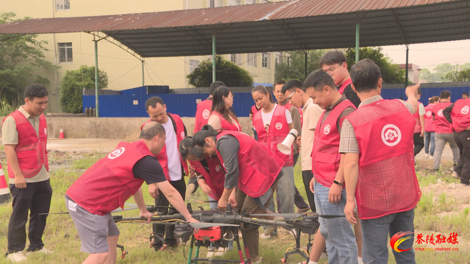 0FAFs3WREAMA.bmp 0FAFs3WREAMA.bmp