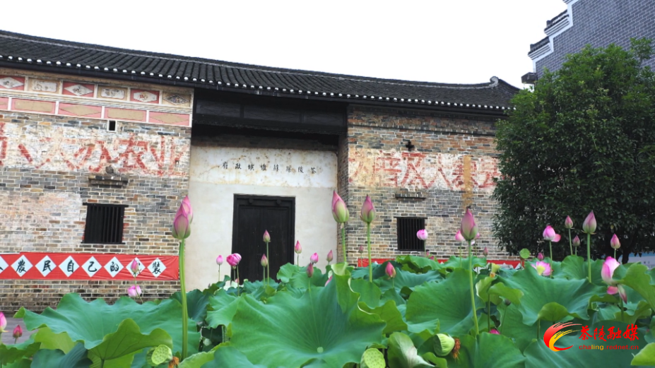 88iklam3fWoA.png 88iklam3fWoA.png