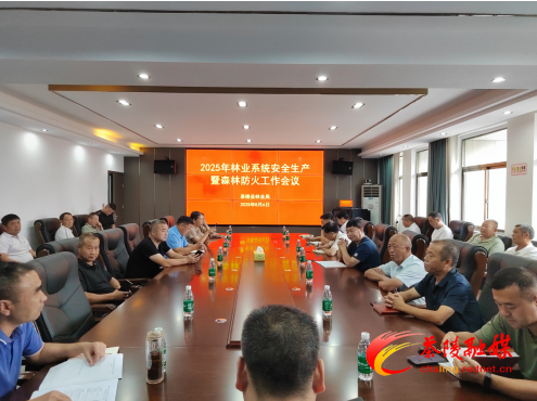 1754451000491.png 1754451000491.png