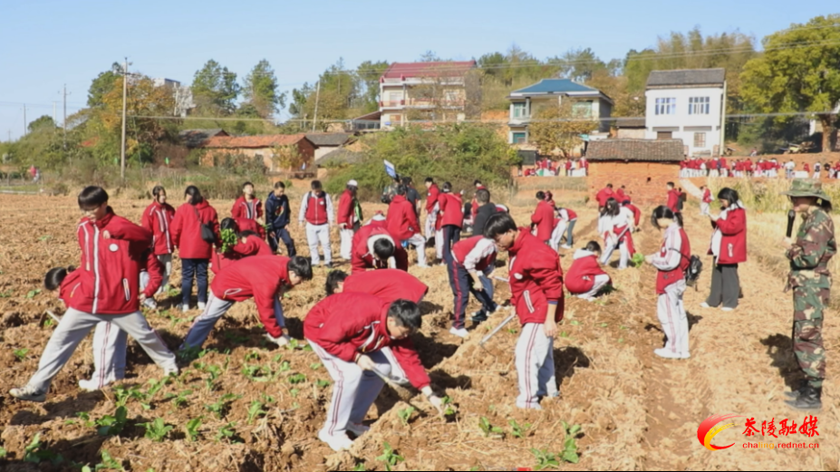 FpfiiawJrQ8A.bmp FpfiiawJrQ8A.bmp