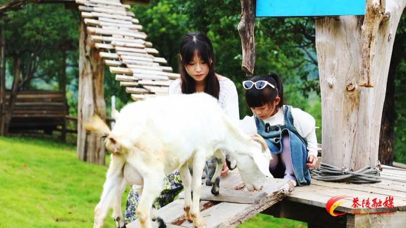 Still1201_00001.bmp Still1201_00001.bmp