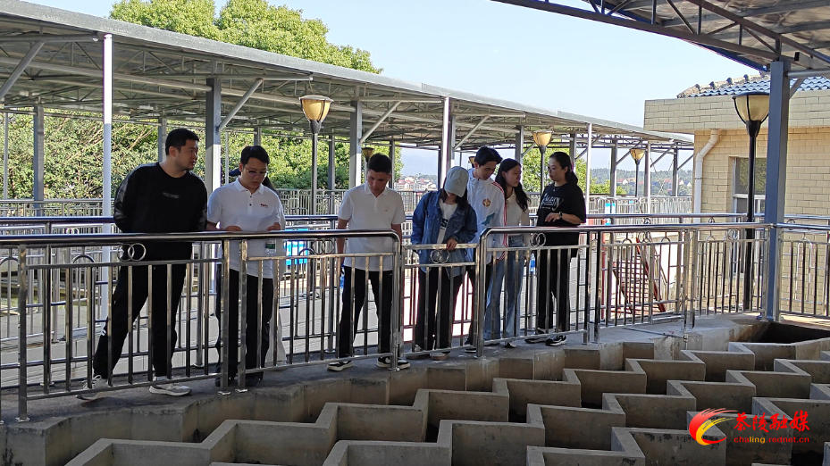 IMG_20241026_15411888 - 副本.jpeg