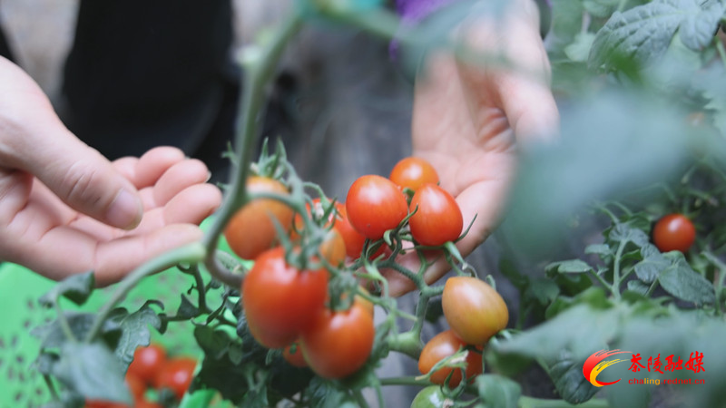 Still1209_00010_副本.jpg Still1209_00010_副本.jpg