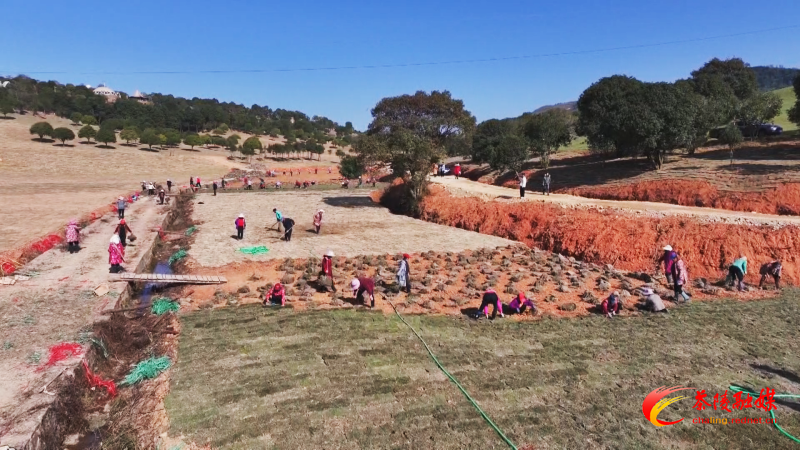 Still1224_00001.bmp Still1224_00001.bmp