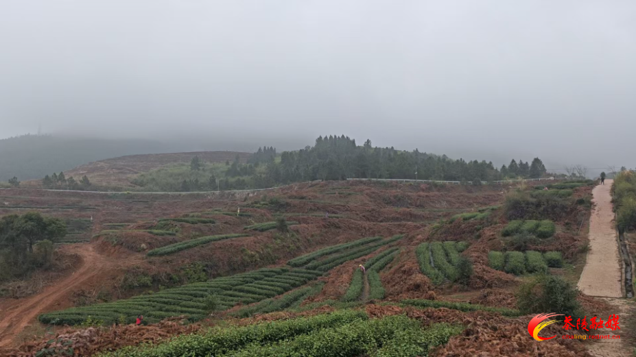 微信图片_20250314213245.jpg 微信图片_20250314213245.jpg