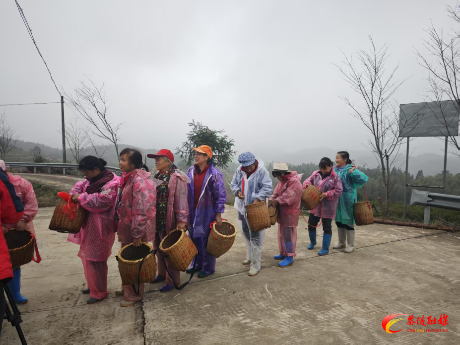 微信图片_20250314213514.jpg 微信图片_20250314213514.jpg