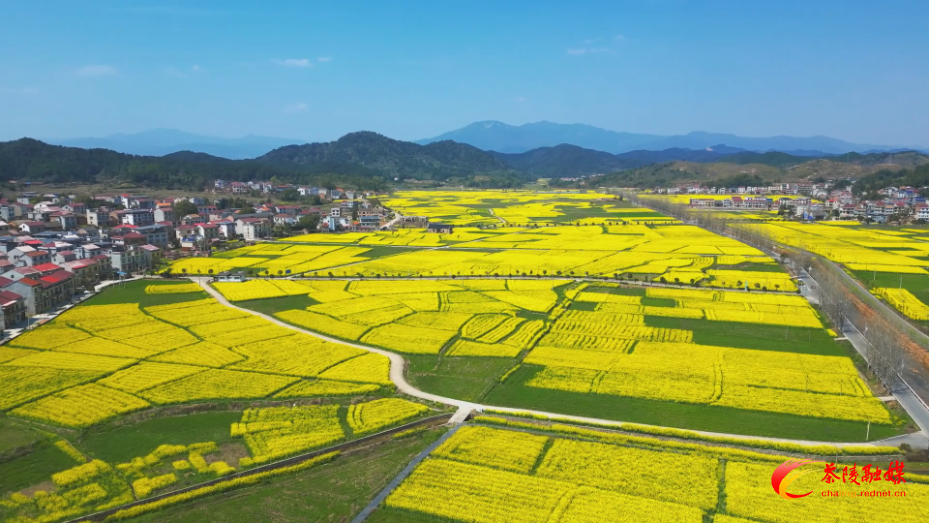 QrsbEuXqvFAA.bmp QrsbEuXqvFAA.bmp