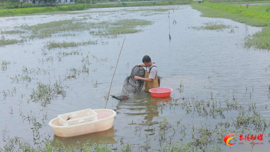 龙虾.jpg 龙虾.jpg