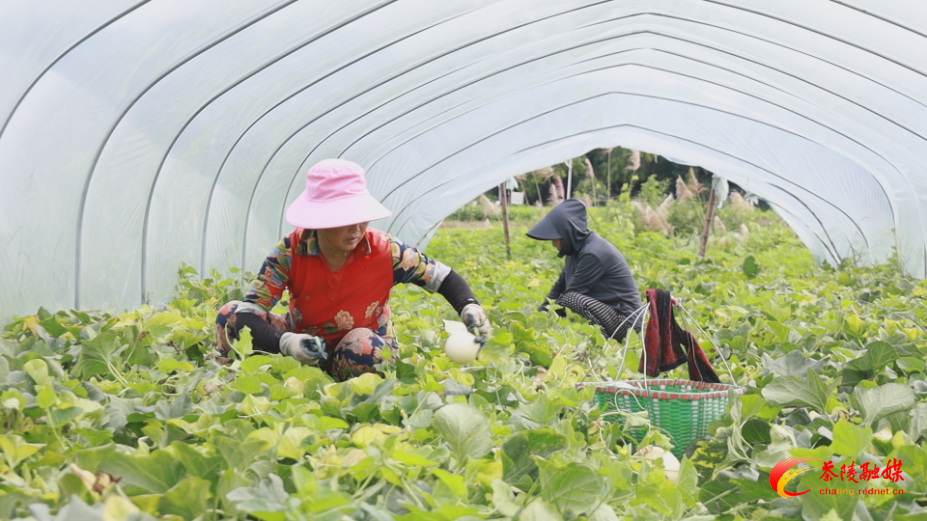 Fnmd9US1Kf4A.bmp Fnmd9US1Kf4A.bmp