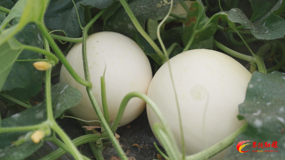 AkOzzjyXv4wA.bmp AkOzzjyXv4wA.bmp