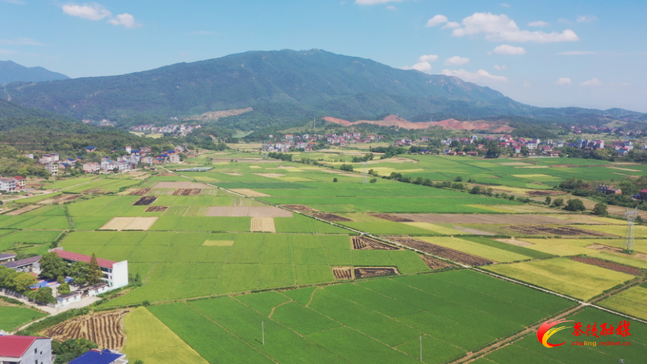 OQ8WMqE6NrAA.bmp OQ8WMqE6NrAA.bmp