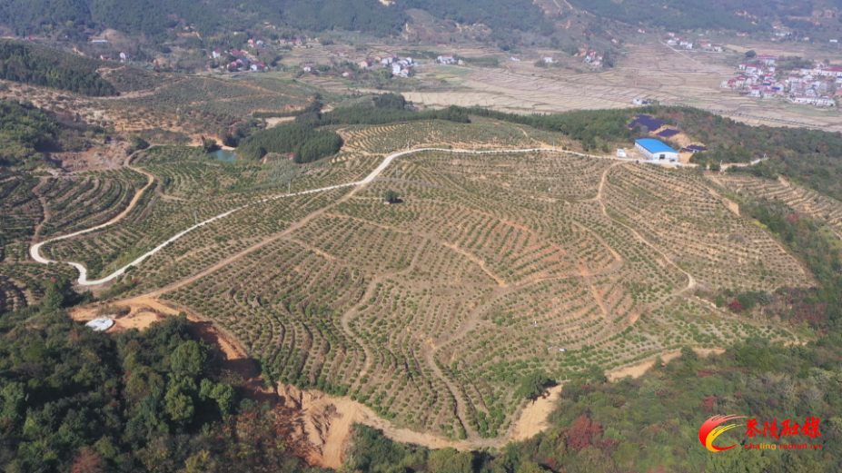 VJRsdZJmAb4A.png VJRsdZJmAb4A.png