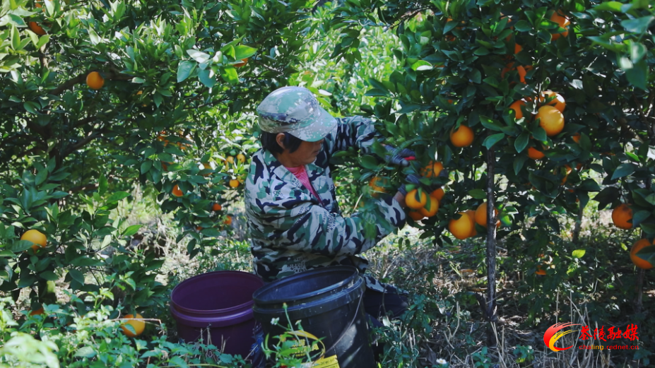 s1koLuQKCMUA.png s1koLuQKCMUA.png